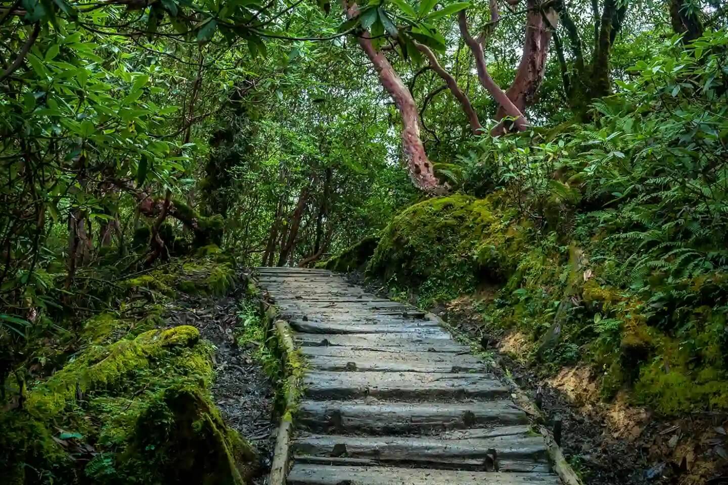 Khangchendzonga National Park