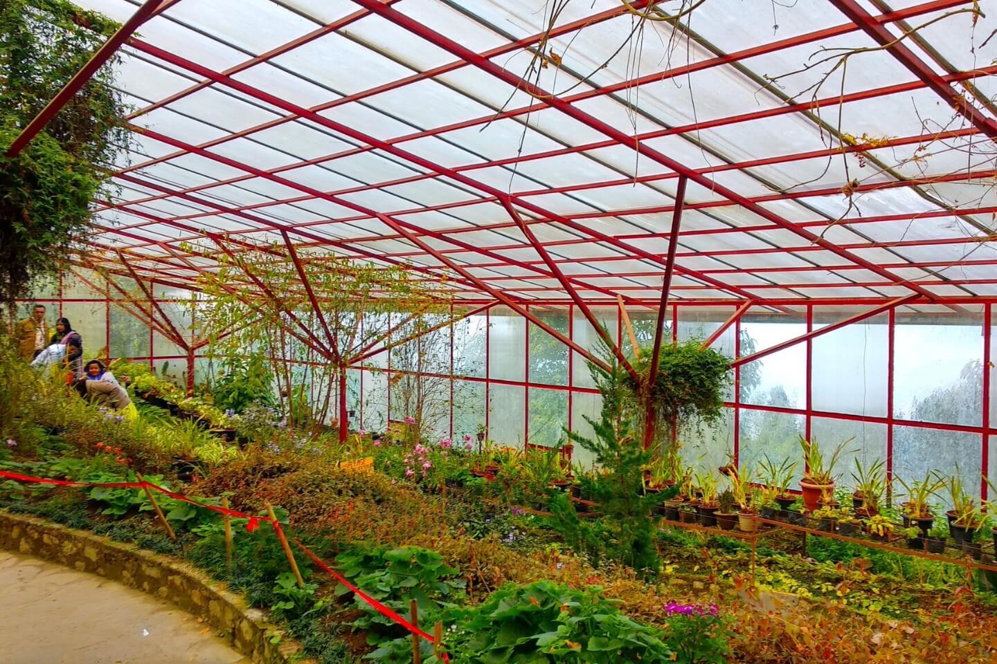 Plant Conservatory Gangtok